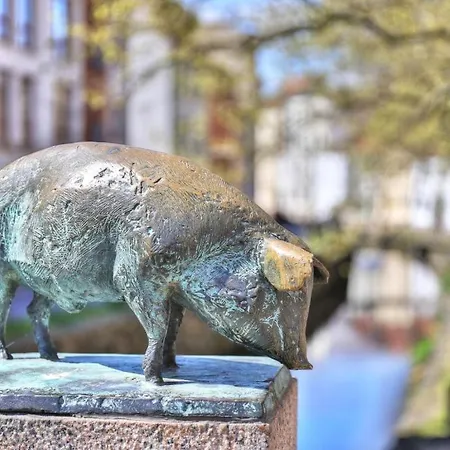 Ohlerich Speicher App_ 46